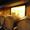 Amyntaio winery barels