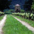 winery Troupis