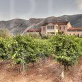 Domaine Skouras winery