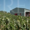  Klados winery