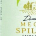 Domain Mega Spileo white label