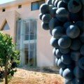 Nemeion winery Nemea