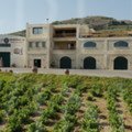 Pnevmatikaki winery Chania