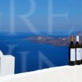 Santorini Artemis Karamolegos wines