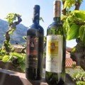 Sinadinakis winery