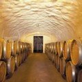 Tselepos winery barels