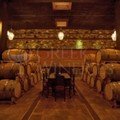 winery Oinoforos Lesvos